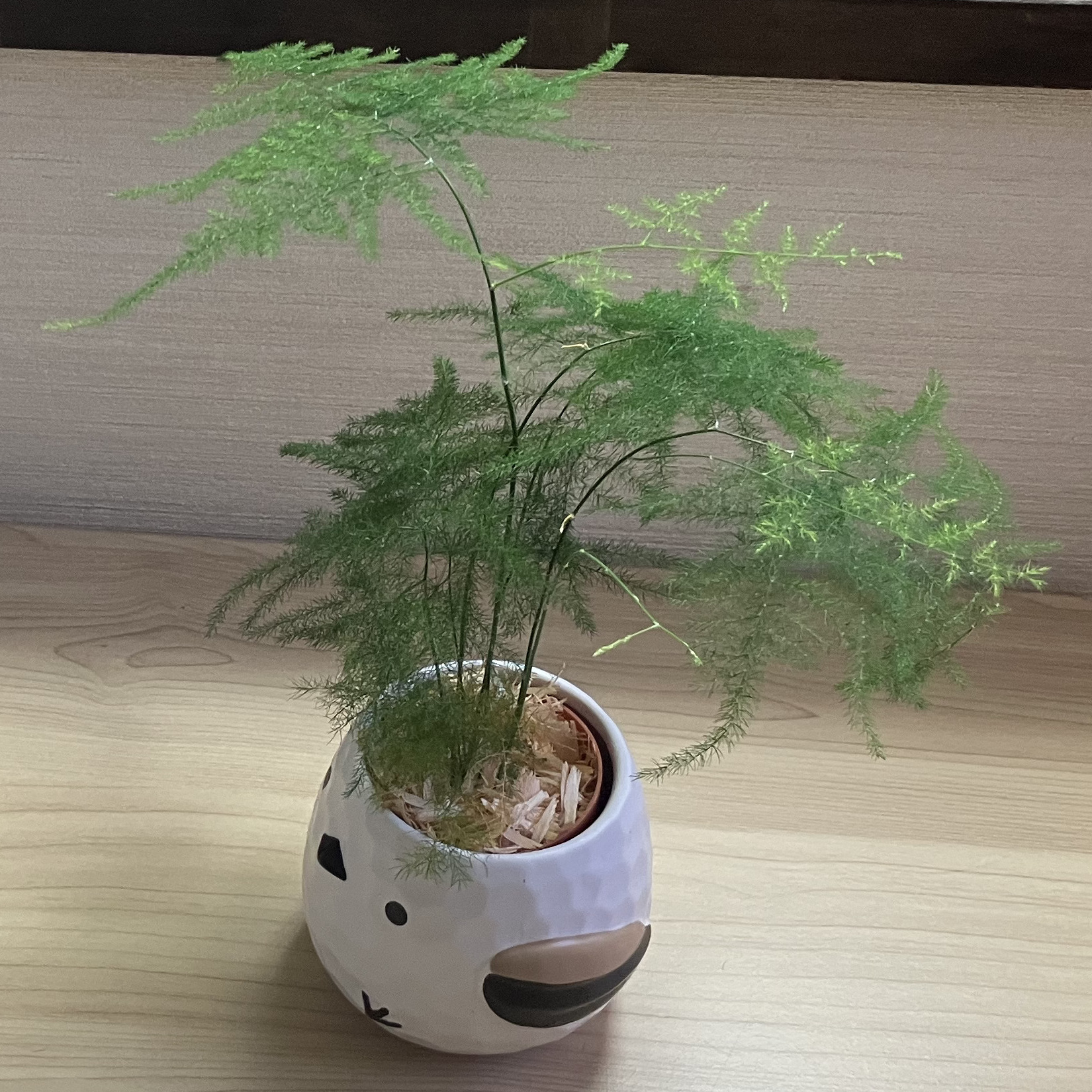 完全個室